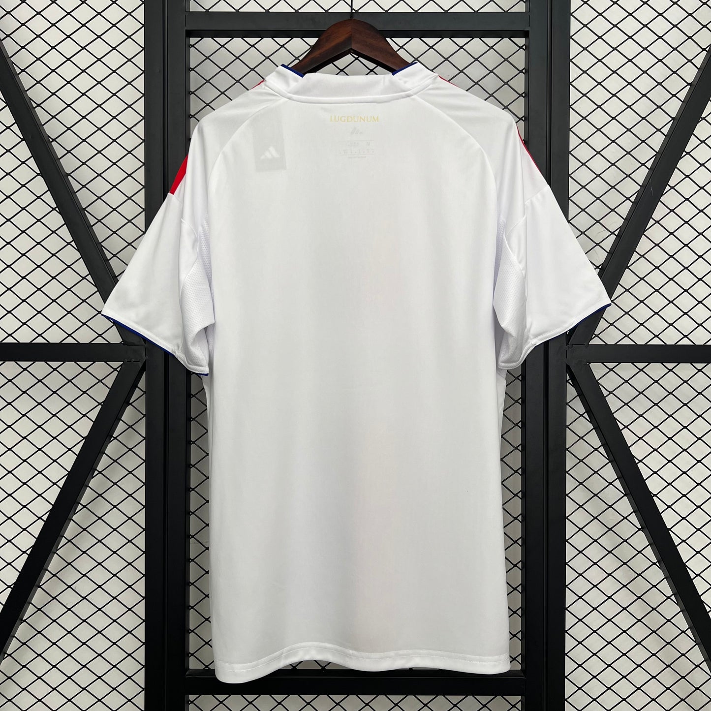 Olympique de Lyon fanático 2025/26