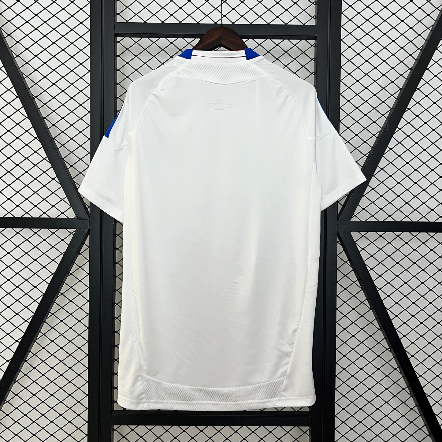 Olympique de Lyon retro 2010/11